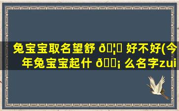 兔宝宝取名望舒 🦋 好不好(今年兔宝宝起什 🐡 么名字zui
好)